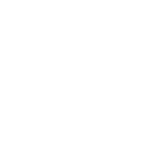 Electrique
